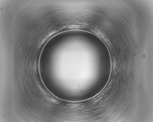 X0000059100297200510101225