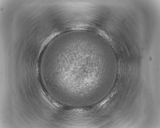 X0000059100298200510101225