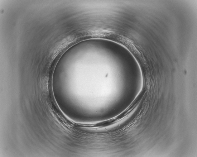 X0000059100299200510101225