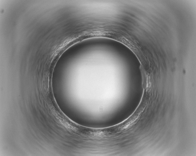 X0000059100301200510101225