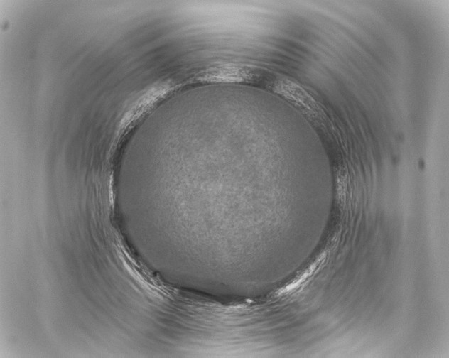 X0000059100302200510101225