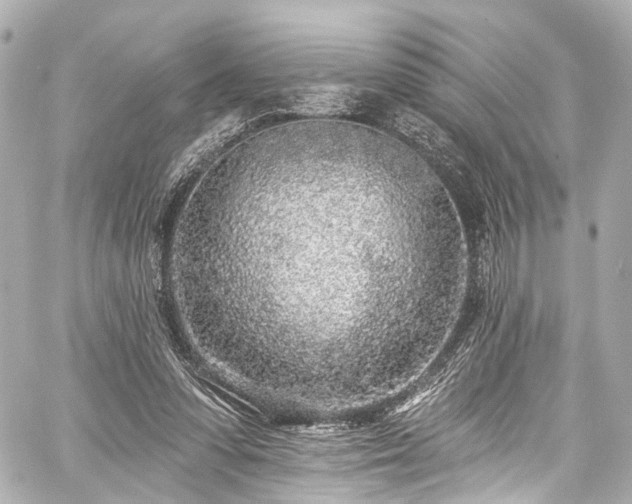 X0000059100303200510101225