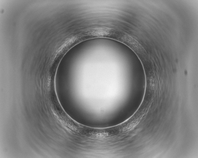 X0000059100304200510101225