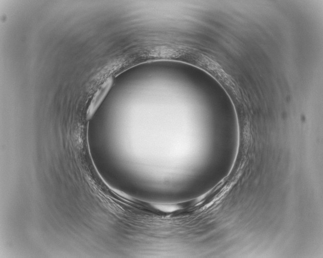 X0000059100305200510101225