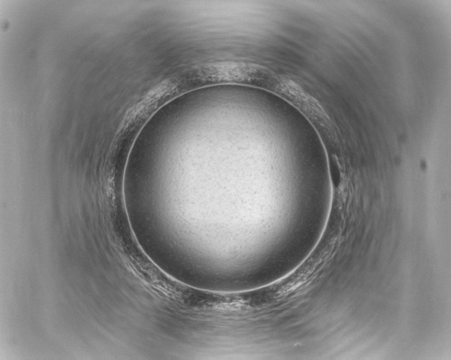 X0000059100306200510101225