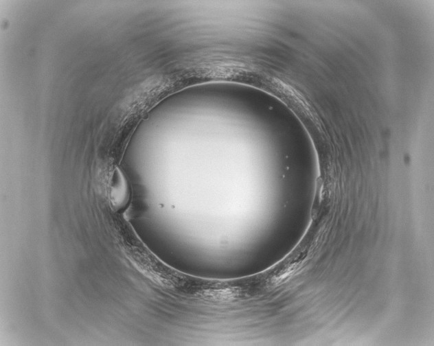 X0000059100307200510101225