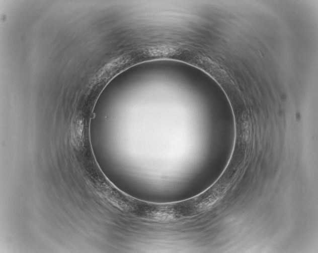 X0000059100308200510101225