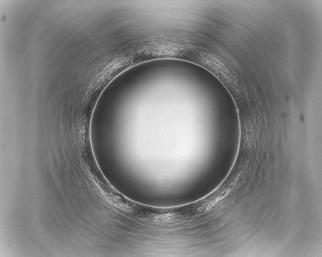 X0000059100309200510101225