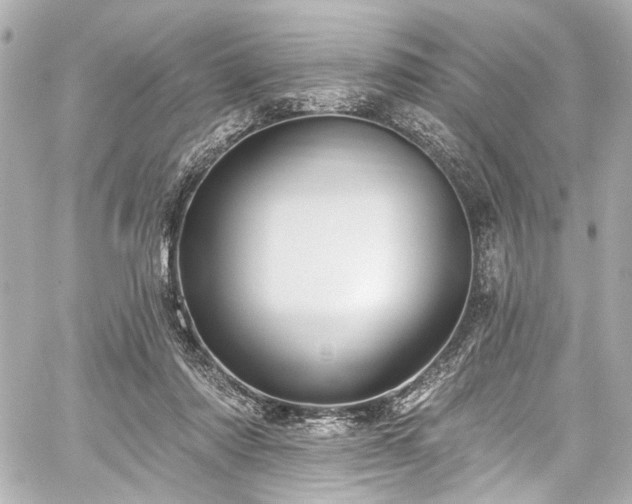 X0000059100310200510101225