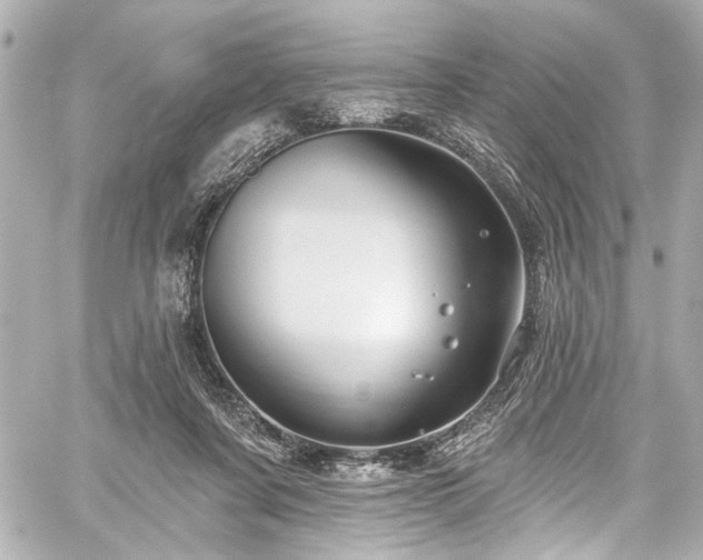 X0000059100311200510101225