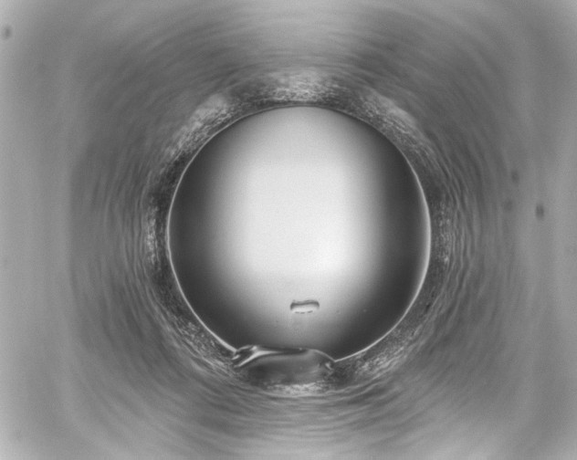 X0000059100312200510101225