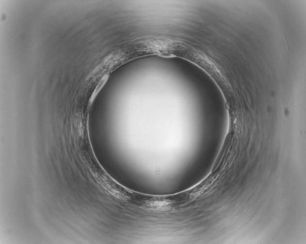 X0000059100313200510101225