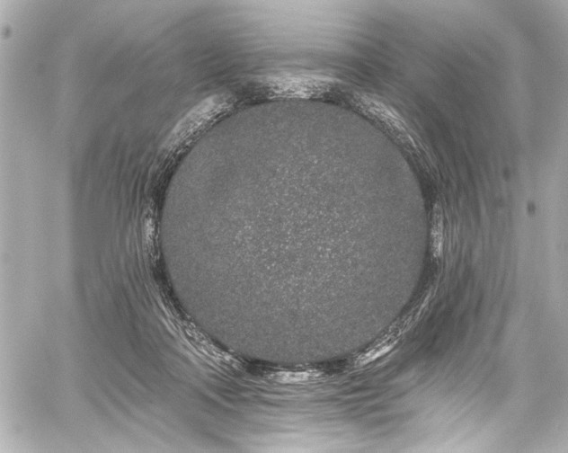 X0000059100314200510101225