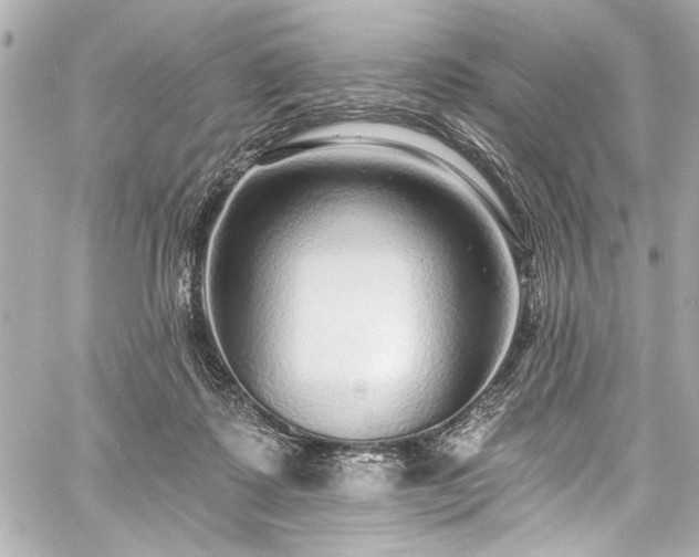 X0000059100315200510101225