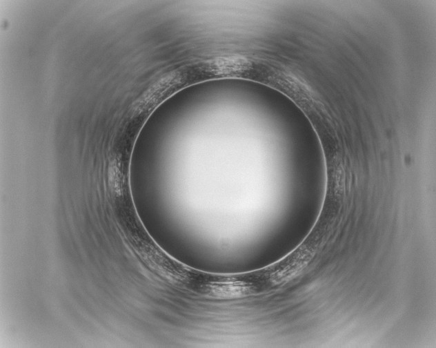 X0000059100316200510101225