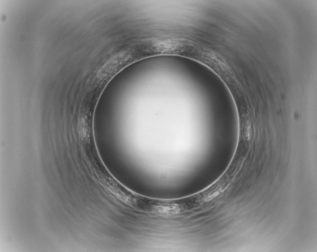 X0000059100317200510101225