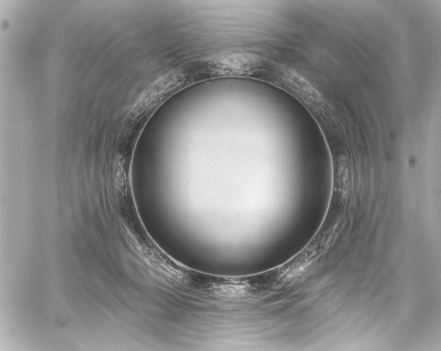 X0000059100318200510101225