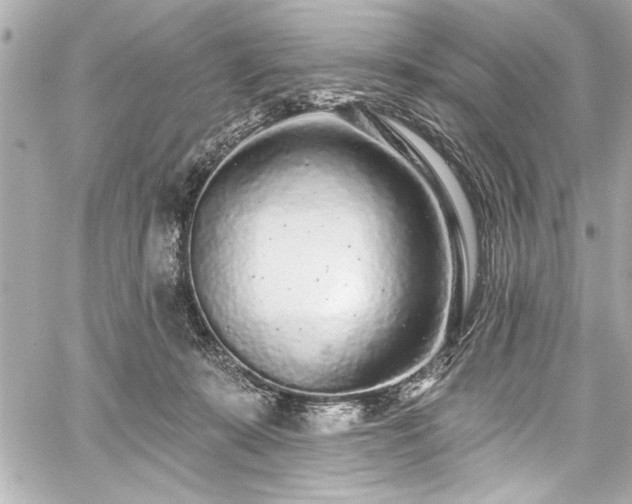 X0000059100319200510101225