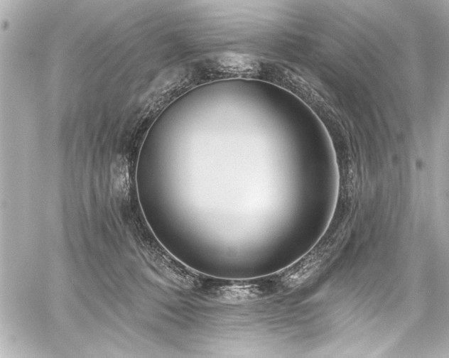 X0000059100320200510101225