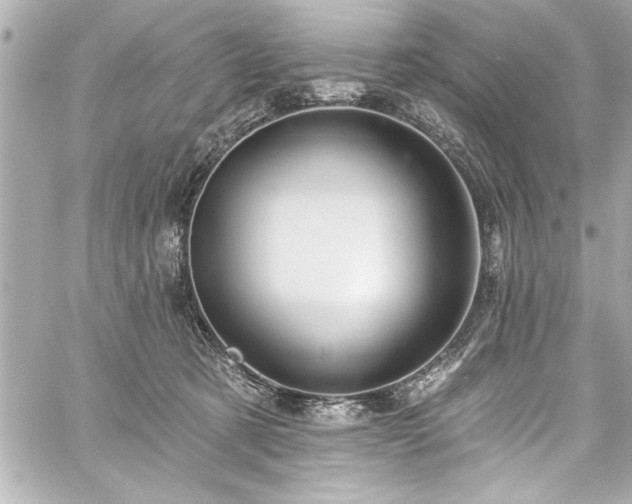 X0000059100321200510101225