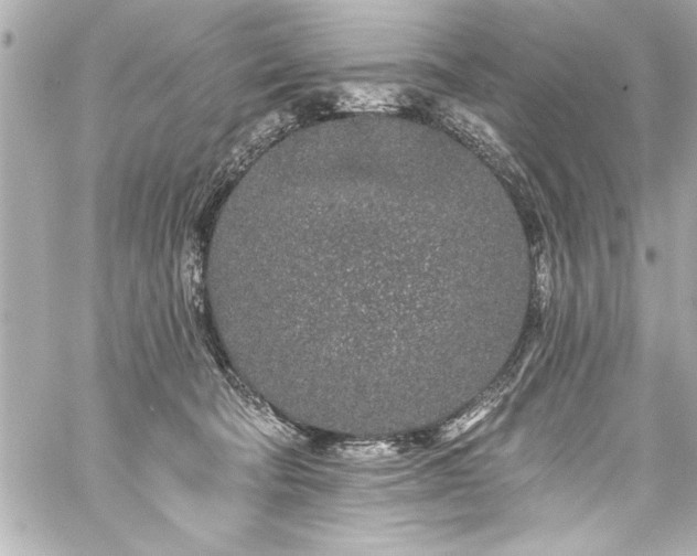 X0000059100322200510101225