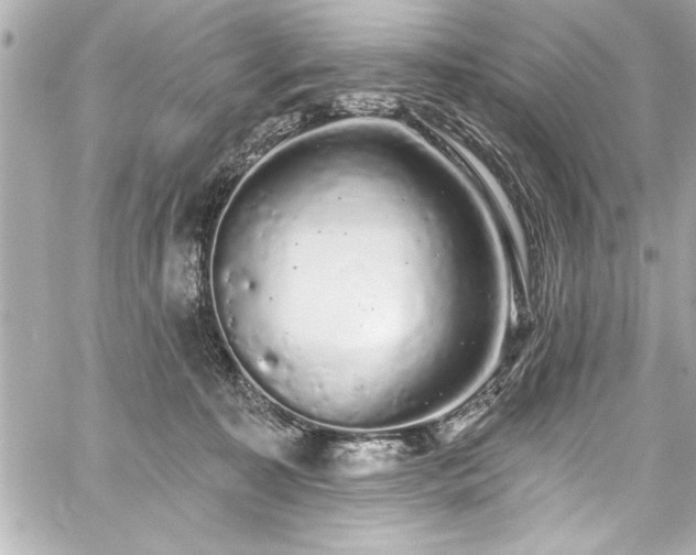 X0000059100323200510101225