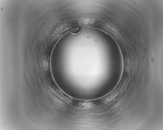 X0000059100324200510101225