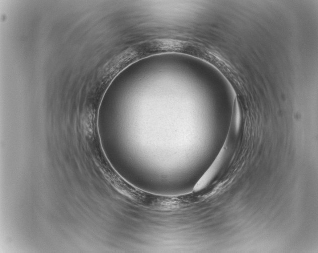 X0000059100325200510101225