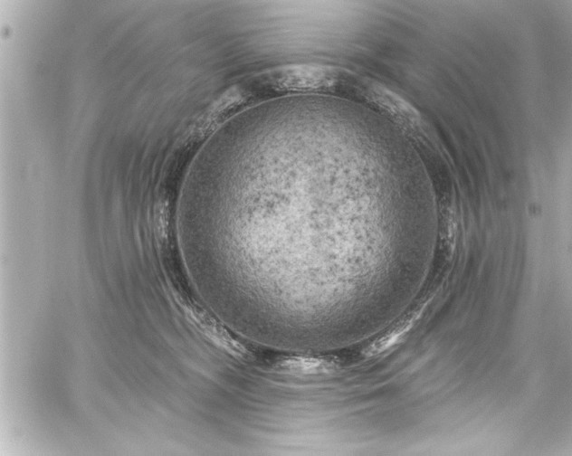 X0000059100326200510101225