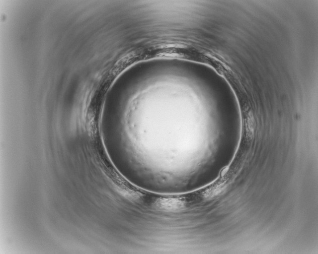 X0000059100327200510101225