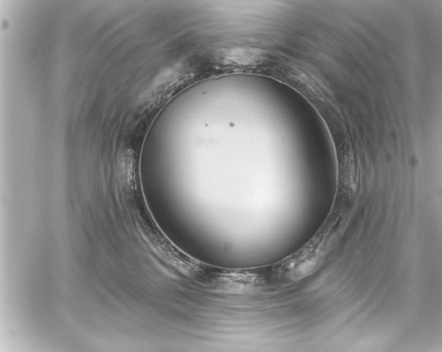 X0000059100328200510101225