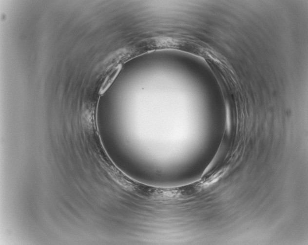 X0000059100329200510101225