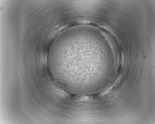 X0000059100330200510101225