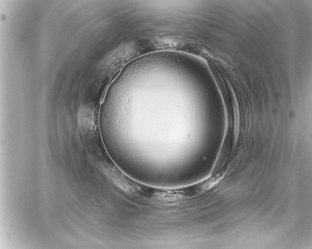 X0000059100331200510101225