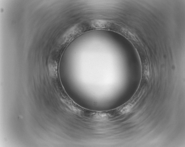 X0000059100332200510101225