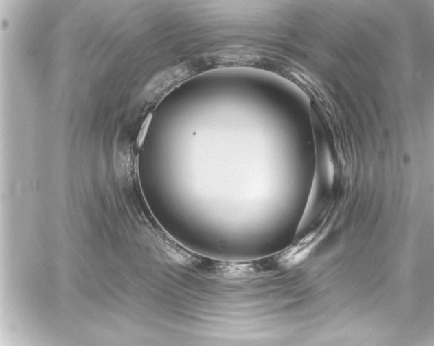 X0000059100333200510101225