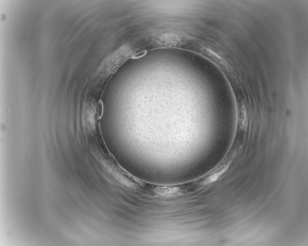 X0000059100334200510101225