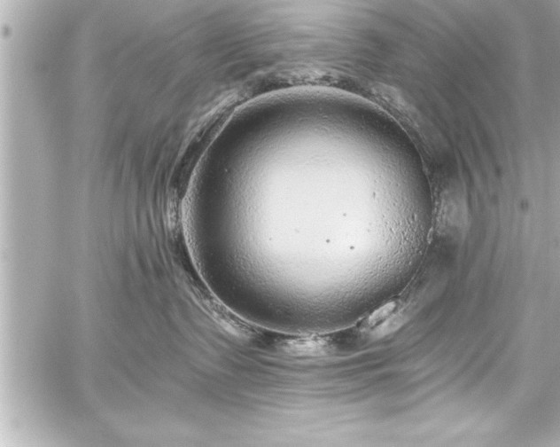 X0000059100335200510101225