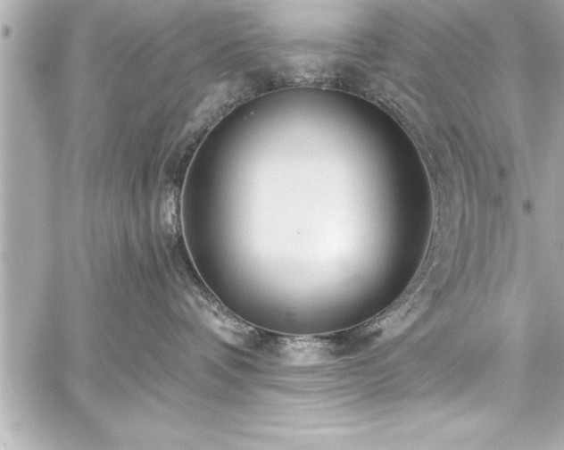 X0000059100336200510101225