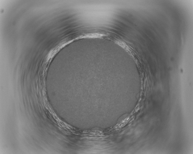 X0000059100337200510101224