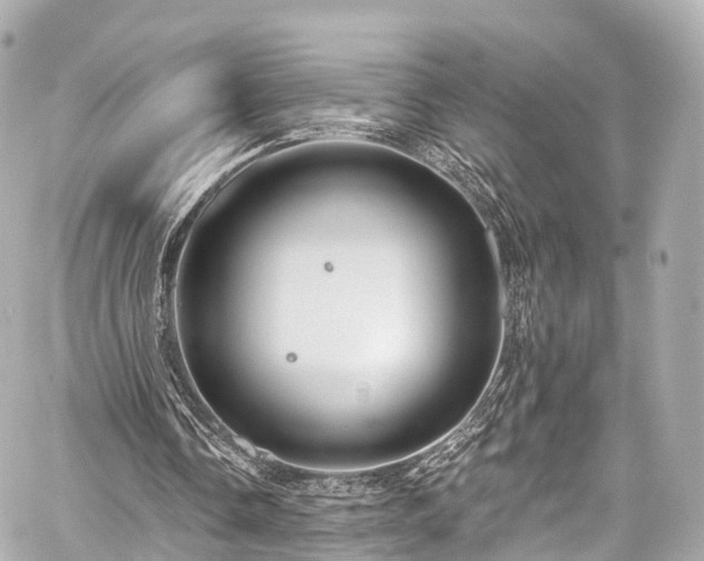 X0000059100338200510101224