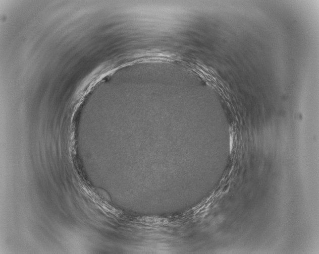 X0000059100339200510101224