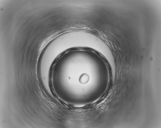 X0000059100340200510101224