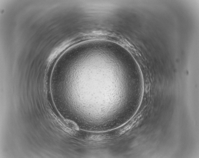 X0000059100341200510101224