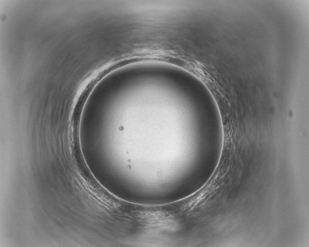 X0000059100342200510101224