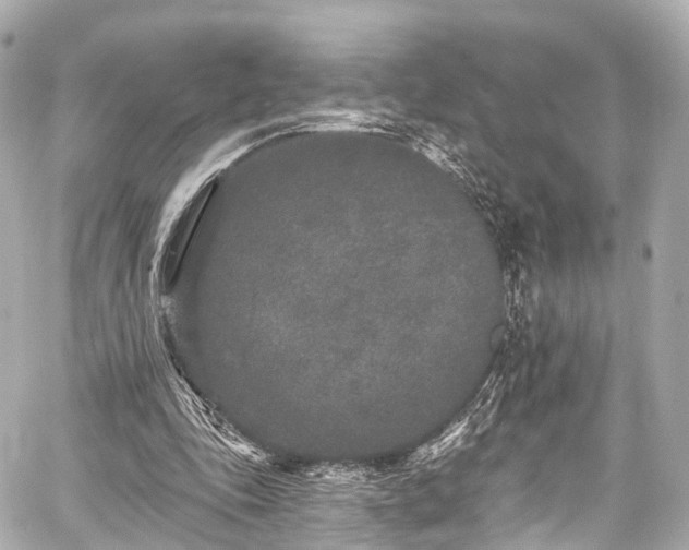 X0000059100343200510101224