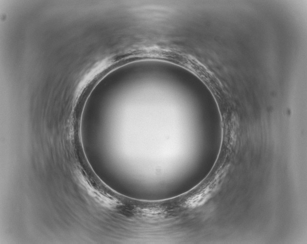 X0000059100344200510101224