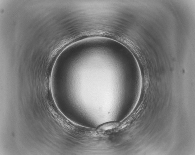 X0000059100345200510101224