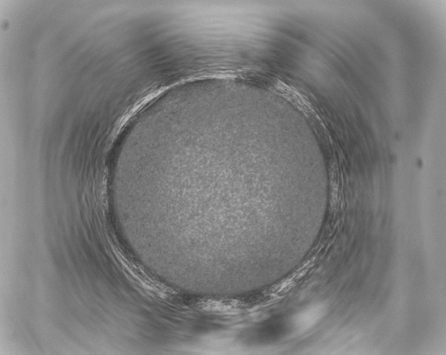 X0000059100346200510101224