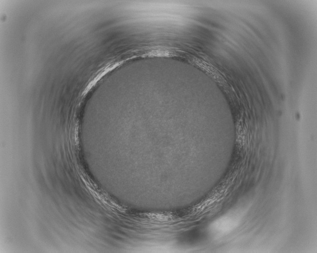 X0000059100347200510101224